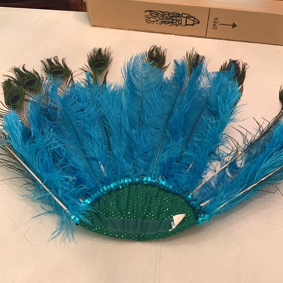 Chasing Fireflies Wishcraft Peackok Costume Sz 6. - Picture 16 of 16